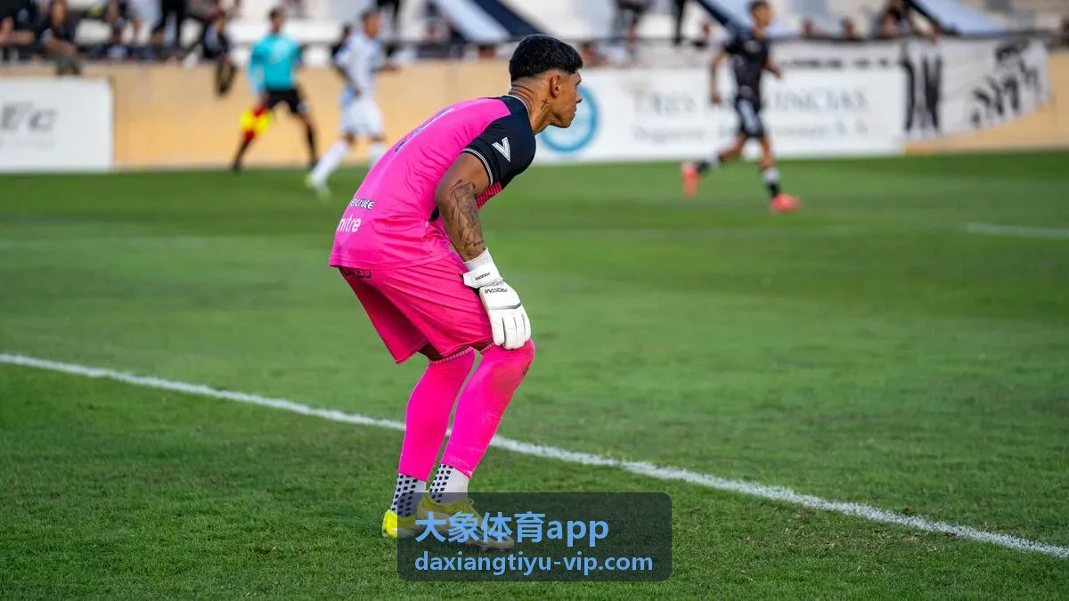 大象体育app实时比分